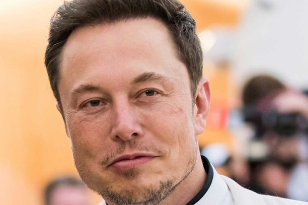 Elon Musk trademarks tequila