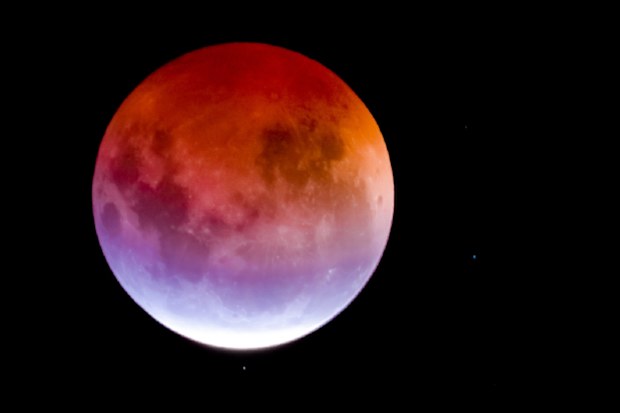 Red blood wolf moon