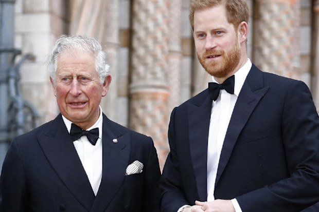 Prince Harry and King Charles