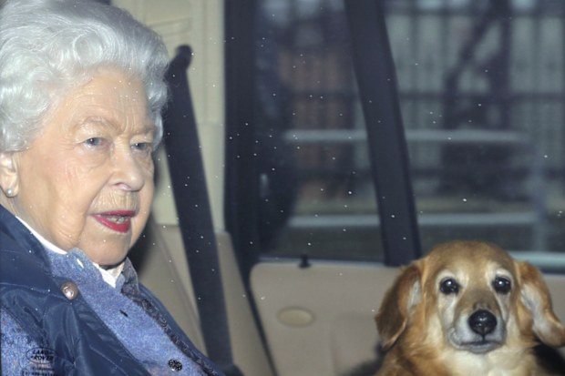 Queen Elizabeth