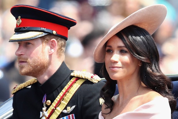 meghan markle king charles new book