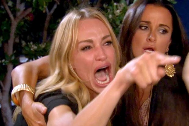 Real Housewives argument scene