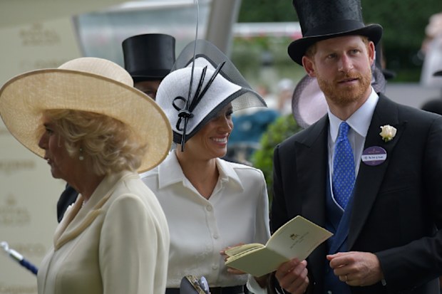 Harry and Meghan with Camilla and Kate royal ascot