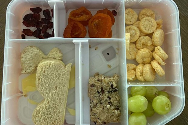 Healthy kid's lunchbox filled with fresh and dried fruit, a sandwich, rice snacks, and a muesli bar