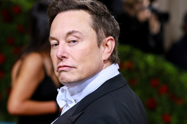 Tesla's billionaire CEO Elon Musk
