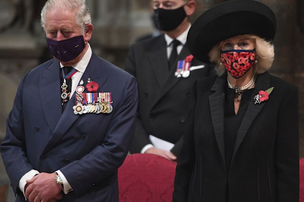 Prince Charles and Camilla on Armistice Day 2020.