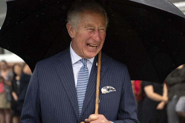 Prince Charles in New Zealand, November 2019.