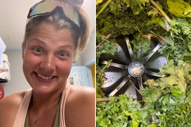 TikToker washes greens in the washing machine
