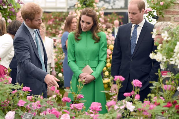 2016 Chelsea Flower Show