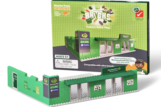 Woolworths Bricks Deluxe starter kit