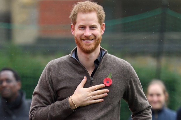 Prince Harry coronavirus