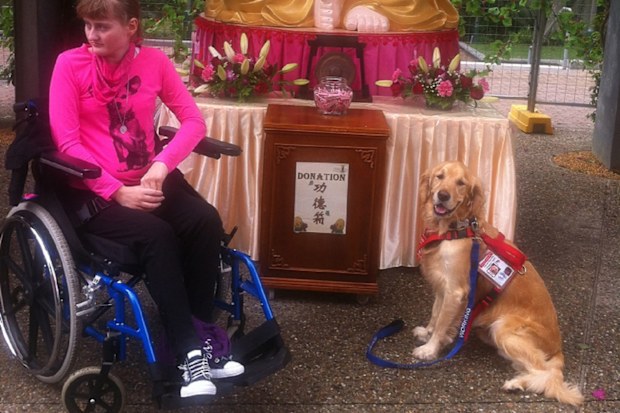 rett syndrome australian woman support animal petstock foundation smart pups