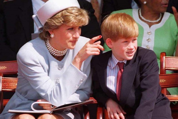 Princess  Of Wales With Prince Harry  At Hyde Park. 