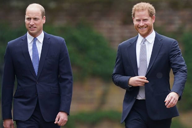 Prince William and Prince Harry