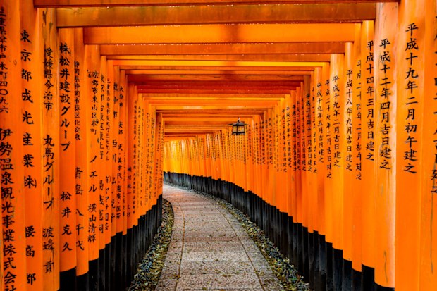 Torii gate in Japan