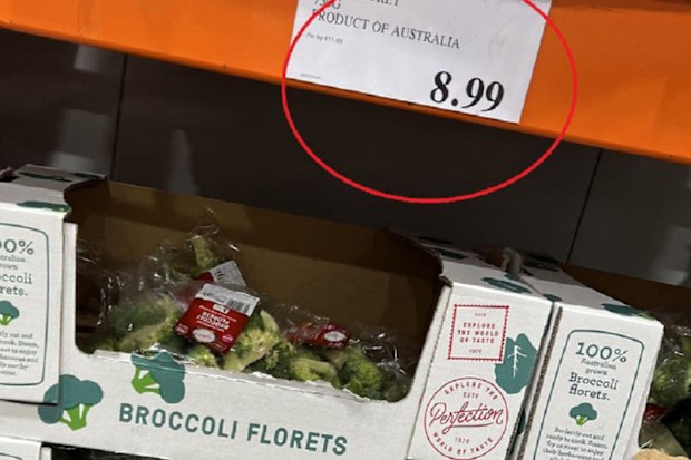 broccoli costco aldi price difference 
