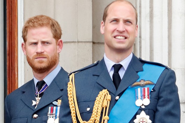 Harry and William olive branch