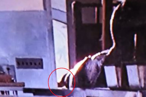 Jurassic Park, movie mistake, kitchen scene, raptors, Ariana Richards, Joseph Mazzello