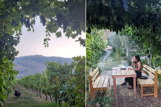 The view from the vineyard at The Barrels restaurant at Gjirokaster in Albania.