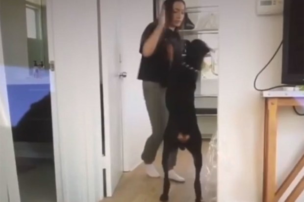 Brooke Houts with dog