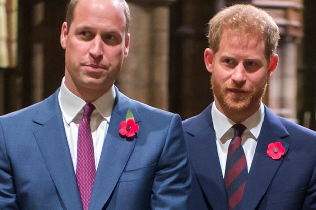 Prince William Prince Harry Westminster Abbey Remembrance Day service 2018