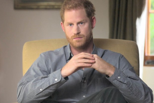 Prince Harry in The Me You Can't See