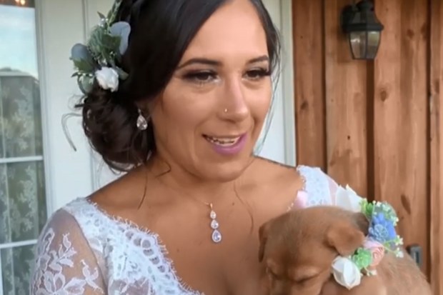 Bridesmaids ditch the flowers to carry puppies down the aisle