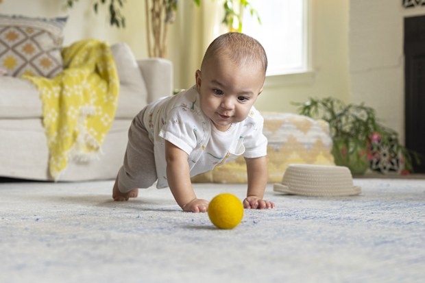 A baby learning how to crawl