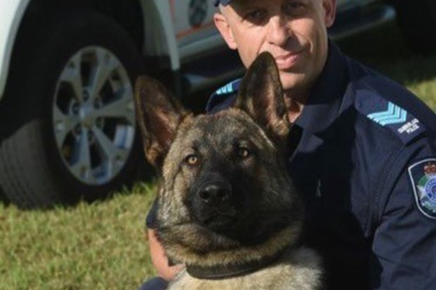 Police dog Rambo and his handler.