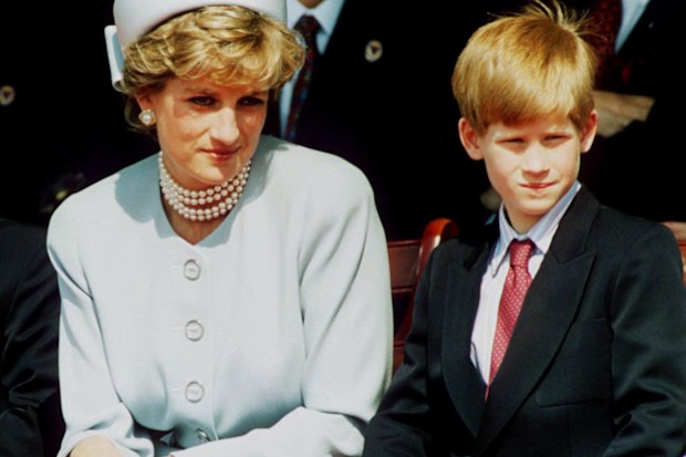 Princess Diana with Prince Harry, 1995.