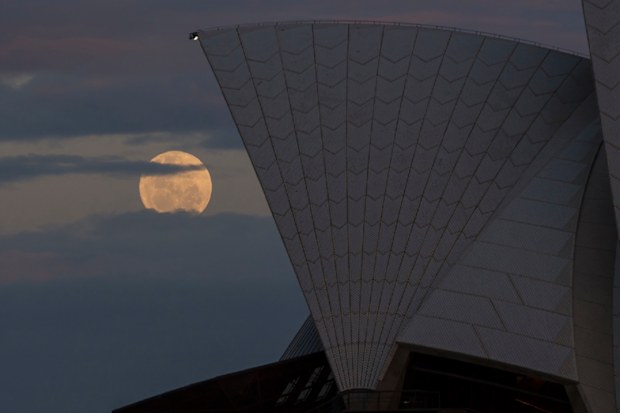 The Supermoon rises behind the Opera House on November 14, 2016 in Sydney, Australia. 