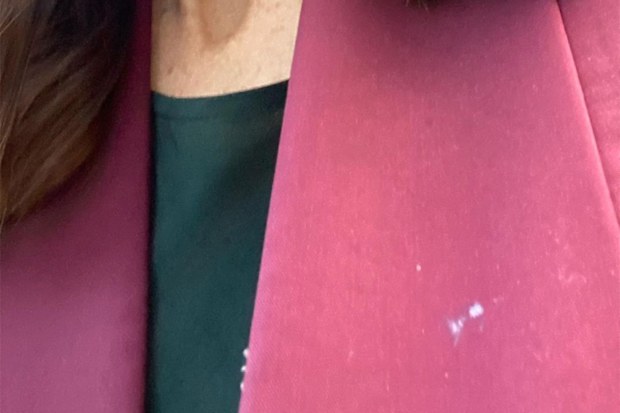 A spot of nappy cream on the blazer of NZ Prime Minister Jacinda Ardern.