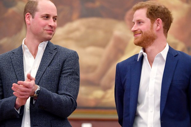 Prince William and Prince Harry