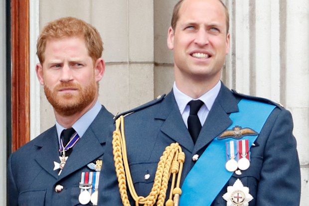 Prince William and Prince Harry on the balcony of Buckingham Palace.