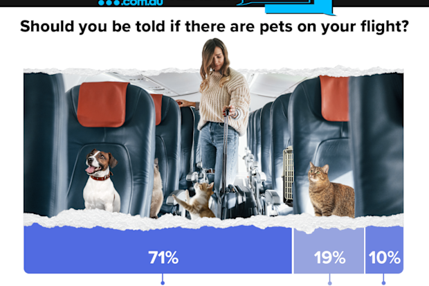 should you be told if there are pets on your flight nine poll