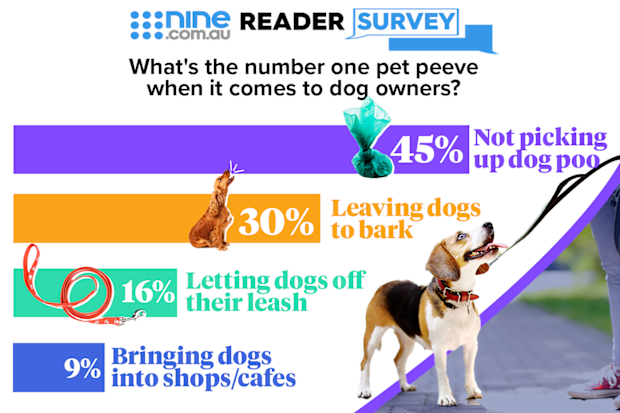Pet owners reveal pet peeve in exclusive Nine poll.