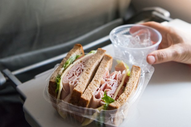 Turkey Sandwich on an airplane seat tray