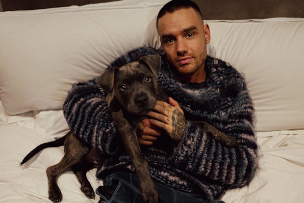 Liam Payne