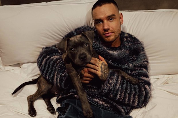 Liam Payne