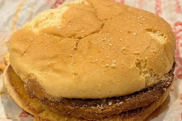 A Macca's burger lasted 24 years without growing any mould. 