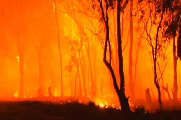 190707 NSW Queensland bushfires emergency warnings 