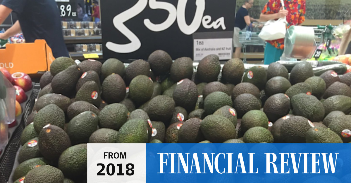 Qld family launches $200m-plus avocado sale to smash records