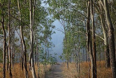Cania Gorge National Park, Qld.