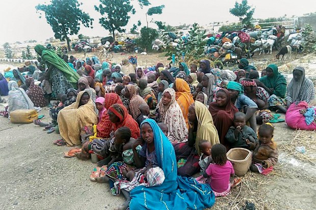 Some of the 700 persons rescued from Boko Haram lslamic militants by Nigerian Army, in Monguno, Nigeria. (AAP)