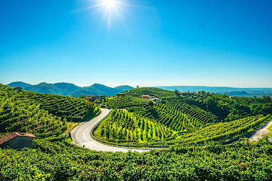 Veneto Prosecco Wine Road