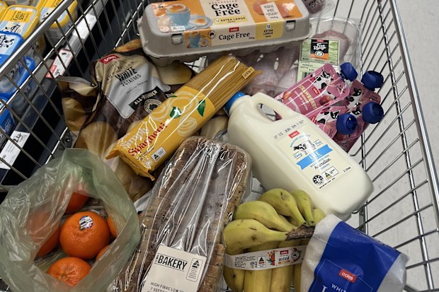 jo abi 9honey consumer reporter grocery costs pet food