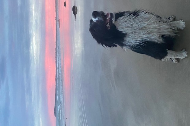 Brooklyn Sacchetta - young Aussie living in Ocean Grove