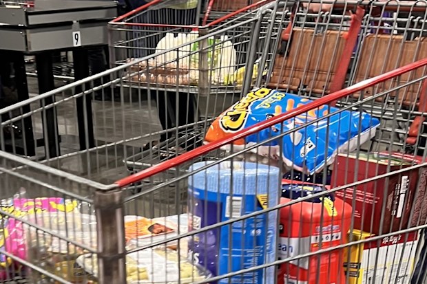 costco most commonly bought items spotted in trolleys at marsden park location in sydney
