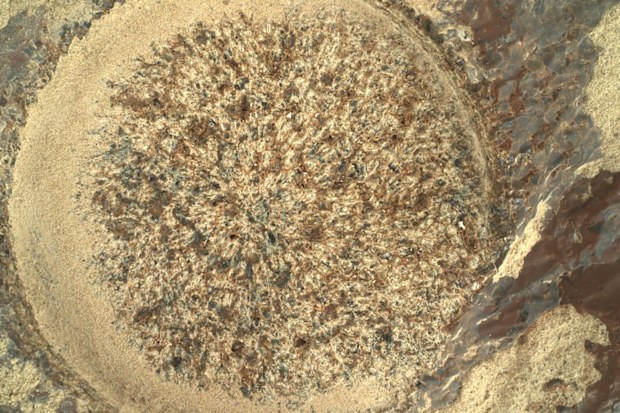 The Perseverance rover took a well-deserved break in October during solar conjunction, but it's back to investigating intriguing rocks in Jezero Crater on Mars.