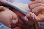 <p>T﻿he votes are in and the most popular baby names in NSW in 2024 have been revealed, with some surprising rises and disappointing drops.</p><p>Minister for Customer Service and Digital Government Jihad Dib agrees, saying, "Every year, it's exciting to see the choices parents have made to name their child. The rankings share a snapshot of what families in NSW are gravitating towards when they name their babies, from enduring favourites such as Noah and Charlotte to emerging popular names like Hazel and Elijah."</p><p>"Welcoming a baby into the world is such an exciting time, and we congratulate all families that celebrated this special moment in 2024."</p><p>Read on to find out the most popular baby names from the past year.﻿</p>